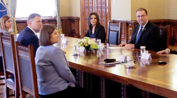 consultari la cotroceni au inceput discutiile presedintelui klaus iohannis cu delegatia pmp
