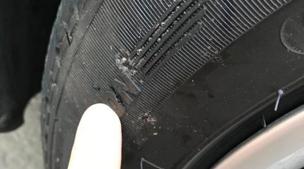 fenomen ciudat in capitala masinile sunt mancate de caini