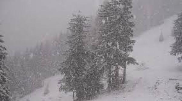 avertizare anm cod galben de vreme rea