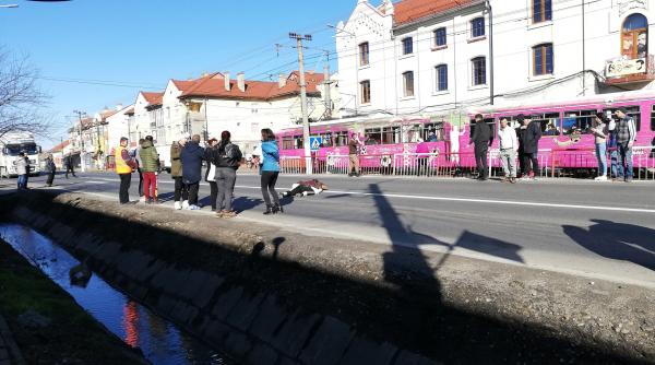 tragedie cumplita la arad o tanara insarcinata a decedat dupa ce a fost lovita pe trecerea de pietoni