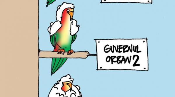 premierul interimar orban in dezacord cu premierul plin orban vrea sa pice viitorul executiv orban