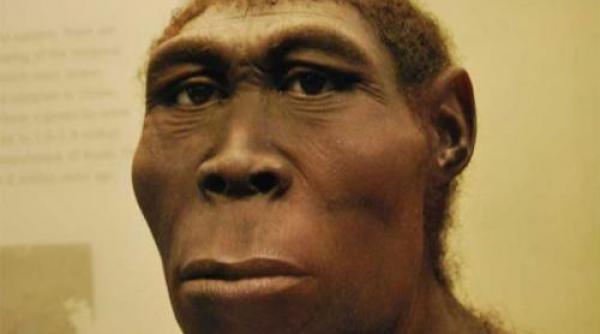 stramosi fantoma un studiu asupra adn ului african detecteaza o specie umana misterioasa