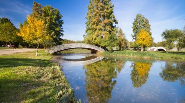 garda de mediu a amendat adp cu 50 000 lei pentru taierile de arbori din parcul herastrau
