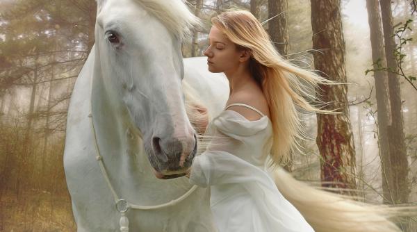 horoscopul runelor pentru perioada 24 februarie 1 martie 2020 urmeaza o saptamana cu multe probleme nerezolvate