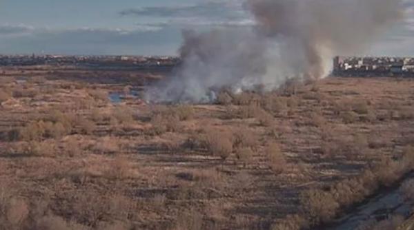 incendiu puternic in capitala numeroase autospeciale intervin de urgenta in delta vacaresti