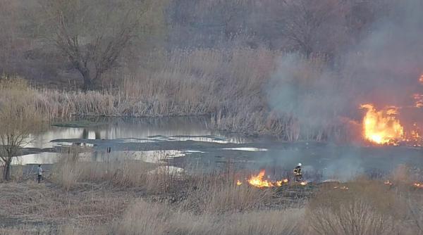 parcul natural vacaresti parjol pe 50 ha