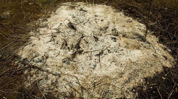 grupul noima duce focul sacru al lui sumedru la art quarter budapesta