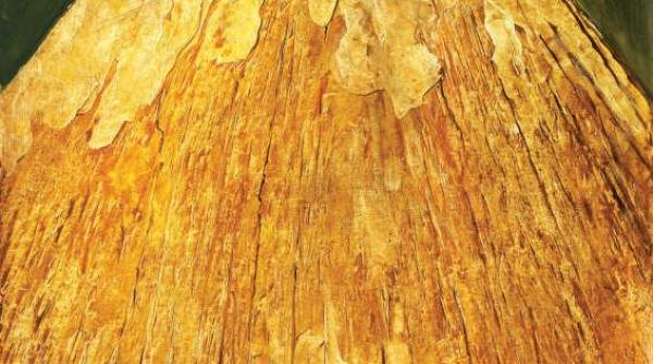 lucrarea aripa de adrian ghenie adjudecata la 33 000 de euro