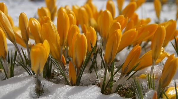 prognoza meteo pentru 5 6 7 si 8 martie cer noros