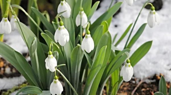 meteorologii au actualizat prognoza pentru urmatoarele trei zile cand scapam de ploi