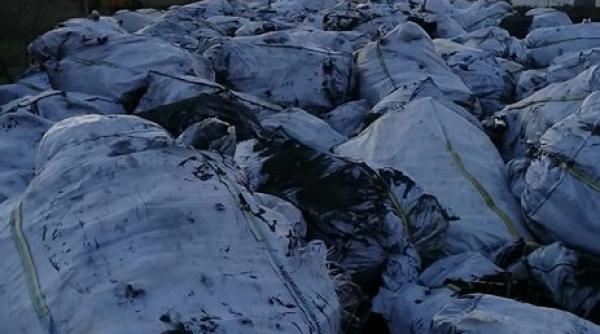 supravietuitori in tara gunoaielor scandal la pecica