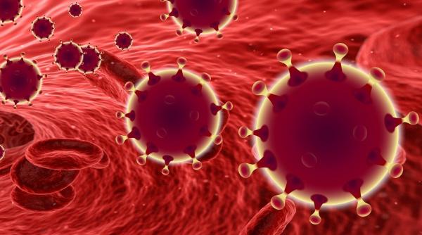 belgienii ar fi gasit antidotul