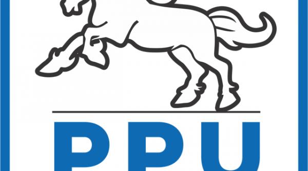 ppusl a amanat desemnarea candidatilor pentru locale