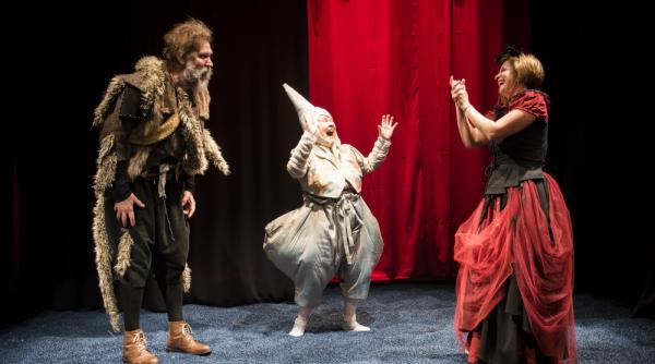 incepand din weekendul 21 22 martie spectacolele teatrului ion creanga se vad online