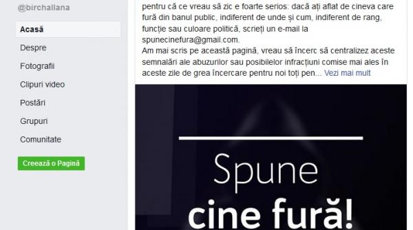 ex ministrul justitiei ana birchall instituie turnatoria pe e mail