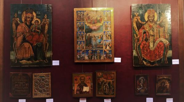 refugiu pe timp de criza