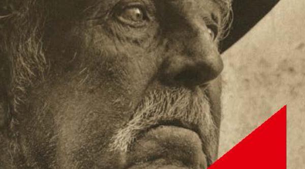 stai acasa si citestecartiesentiale comanda romanul ion de liviu rebreanu