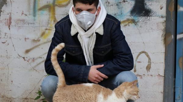 avertismentul medicilor nu interactionati cu animalele de companie daca aveti covid 19 pisicile cele mai vulnerabile