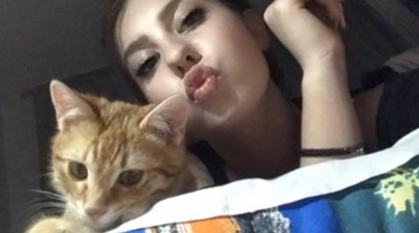 covid 19 periculos si pentru animalele de companie pisicile cele mai vulnerabile