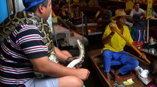 comertul ilegal cu animale salbatice provoaca pandemii