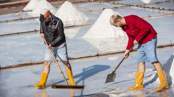 incepe etapa semifinala din asia express