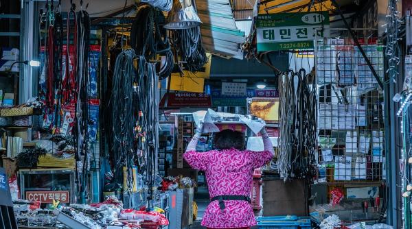 bloomberg cafenelele pline din seul coada de la magazinul apple releva succesul testarii in masa