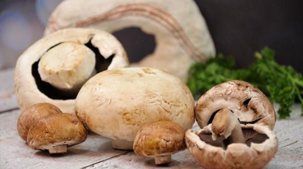 pandemie cum eviti carenta de vitamina d