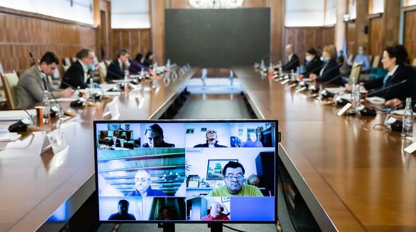 ce face guvernul cand nu stie ce sa faca o pune de un comitet mamut