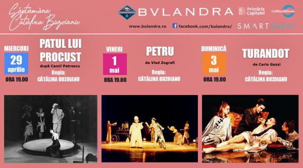 saptamana catalina buzoianu la teatrul bulandra online