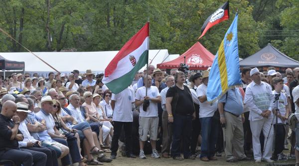 senatul a respins definitiv proiectul doar udmr a votat pentru