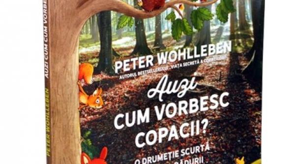 ce facem daca ne lipsesc iesirile in natura