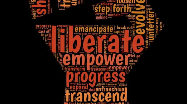 protest fata de comportamentul primarului timisoarei nicolae robu in relatia cu mass media