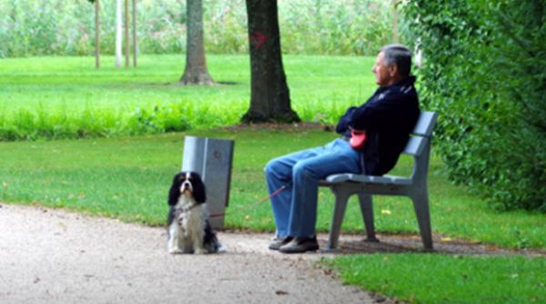 parcurile din sectorul 2 redeschise sambata