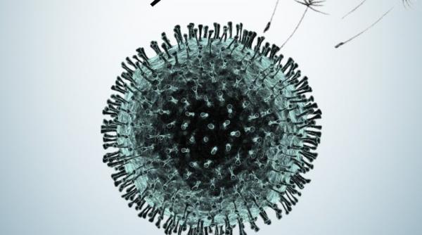 2020 vid si co vid primul spectacol online din romania pe tema pandemiei si izolarii realizat de nationalul iesean