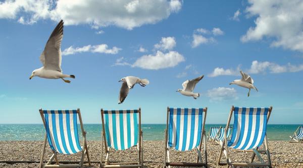 despagubiri rambursarea calatoriilor si vacantelor anulate obligatorii