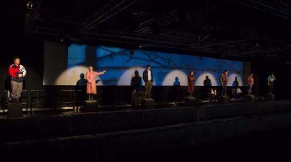 mari spectacole odeon de vanzare for sale un spectacol de gianina carbunariu