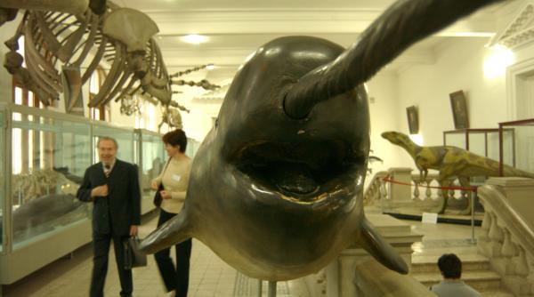 muzeul antipa ramane inchis dupa terminarea starii de urgenta