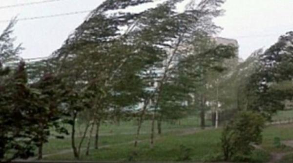 cod galben de vijelii si grindina in 13 judete