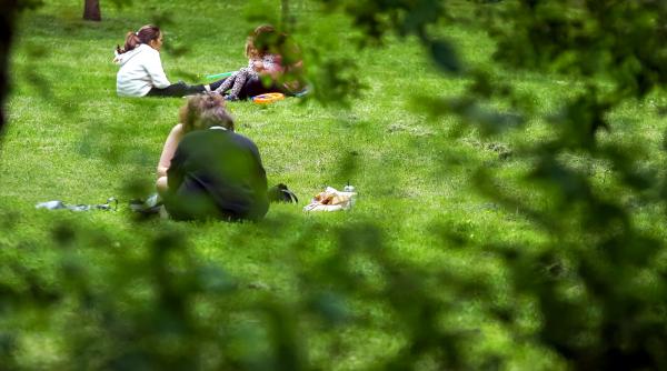 covid 19 nevoia de a ne contopi cu natura in starea de alerta