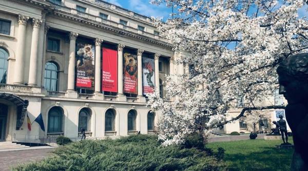 mnar anunta masurile pentru prevenirea contaminarii cu noul coronavirus sars cov 2 in contextul redeschiderii din 20 mai 2020 muzeul isi reia activitatea cu publicul in ziua in care se implinesc 70 de ani de la inaugurarea sa