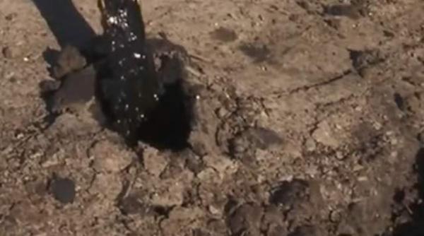 poluare masiva la vadu cine este proprietarul terenului si ce spune despre contaminarea solului