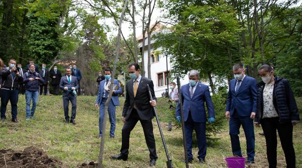 liberalii de varf au incalcat restrictiile la florica