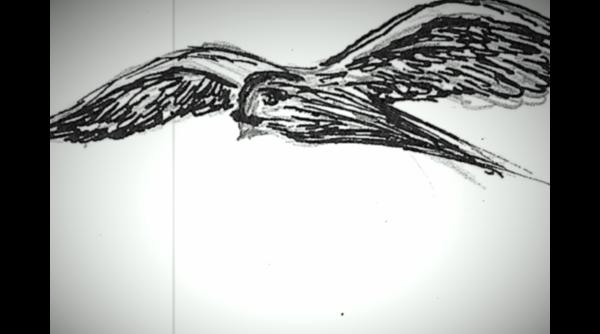 farmecul discret al amintirii regia dragos galgotiu joi online odeon