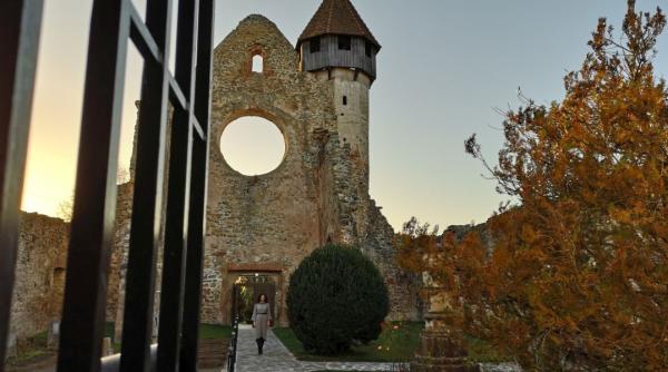 premierele revin la tvr 1