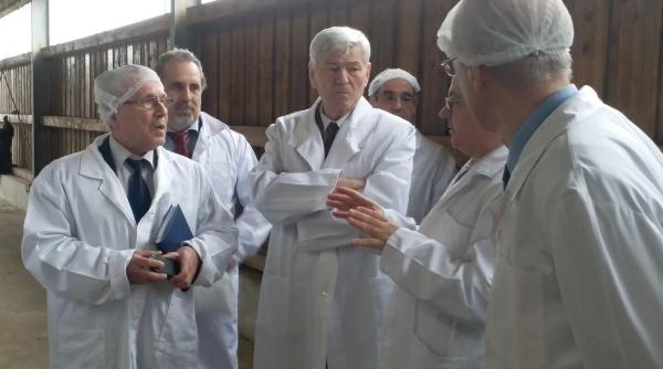 agricultura romaneasca intra in zodia cactusului clima africana s a mutat in tara noastra