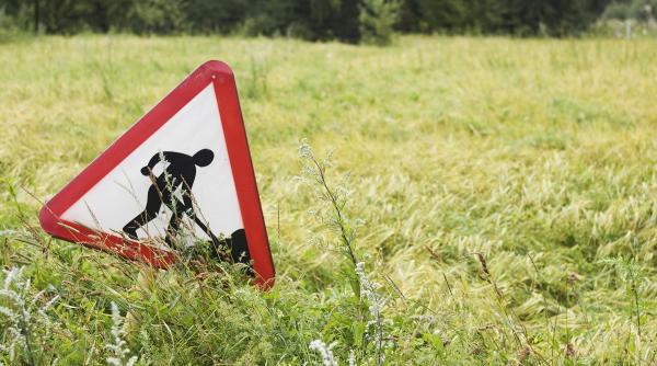noi exproprieri pe craiova pitesti statul ofera mai putin de 1 euro mp