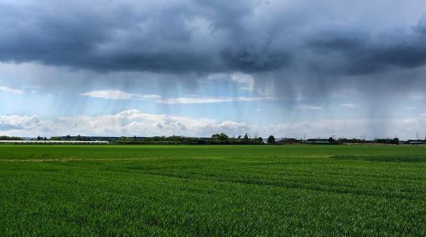 pnl si usr merg cu vanzarea terenurilor agricole la ccr