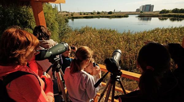 consultare publica ce e voie si ce nu in delta vacaresti