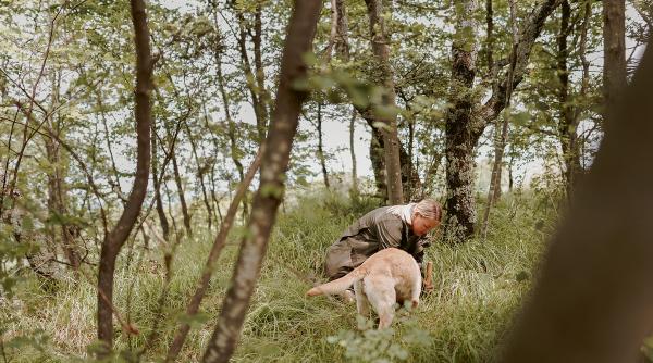 trufele o comoara sutita sub nasul statului