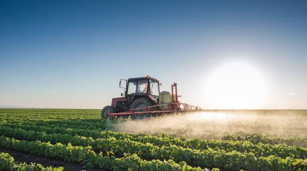 romanii printre cei mai capitalisti europeni